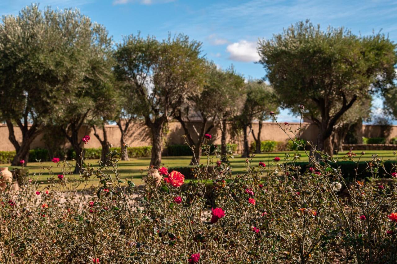 Le Palais Paysan Bed & Breakfast Marrakesh Bagian luar foto
