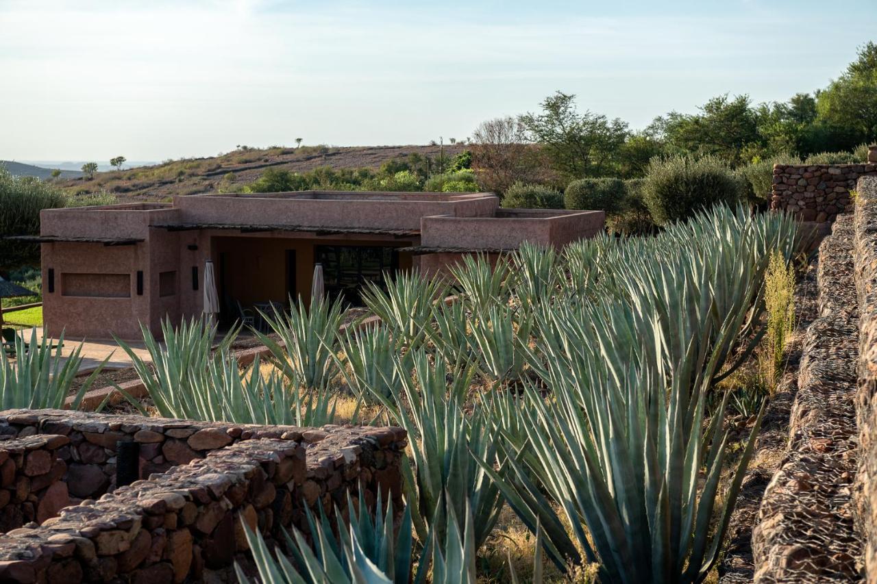 Le Palais Paysan Bed & Breakfast Marrakesh Bagian luar foto