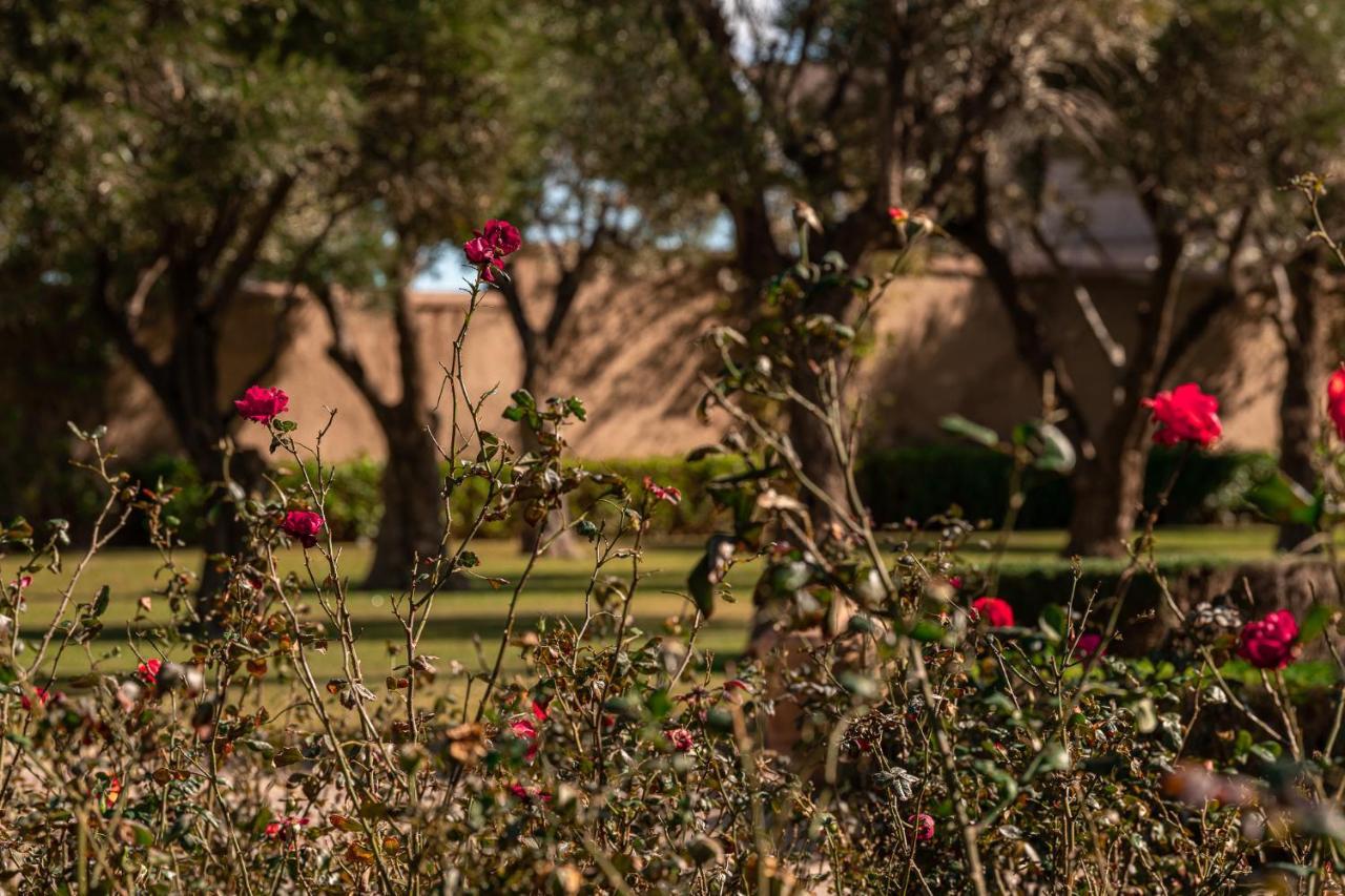 Le Palais Paysan Bed & Breakfast Marrakesh Bagian luar foto